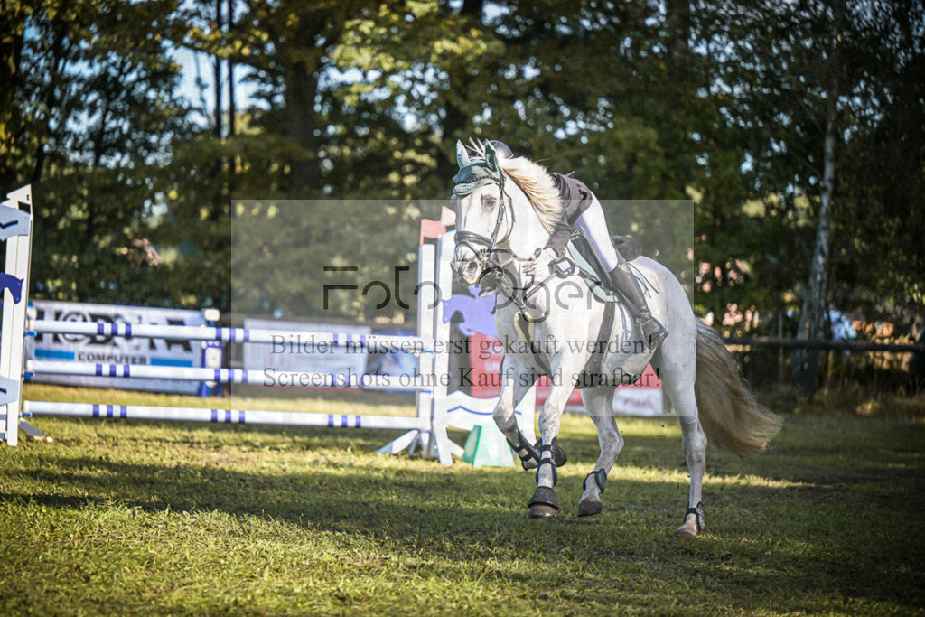 DOS_1043 | Entdecke hochwertige Reitturnierfotos von Foto Oger. Professionell, emotional und authentisch – jetzt Lieblingsmomente im Shop bestellen.Deutschlandweite Turnierfotografie. - Realisiert mit Pictrs.com