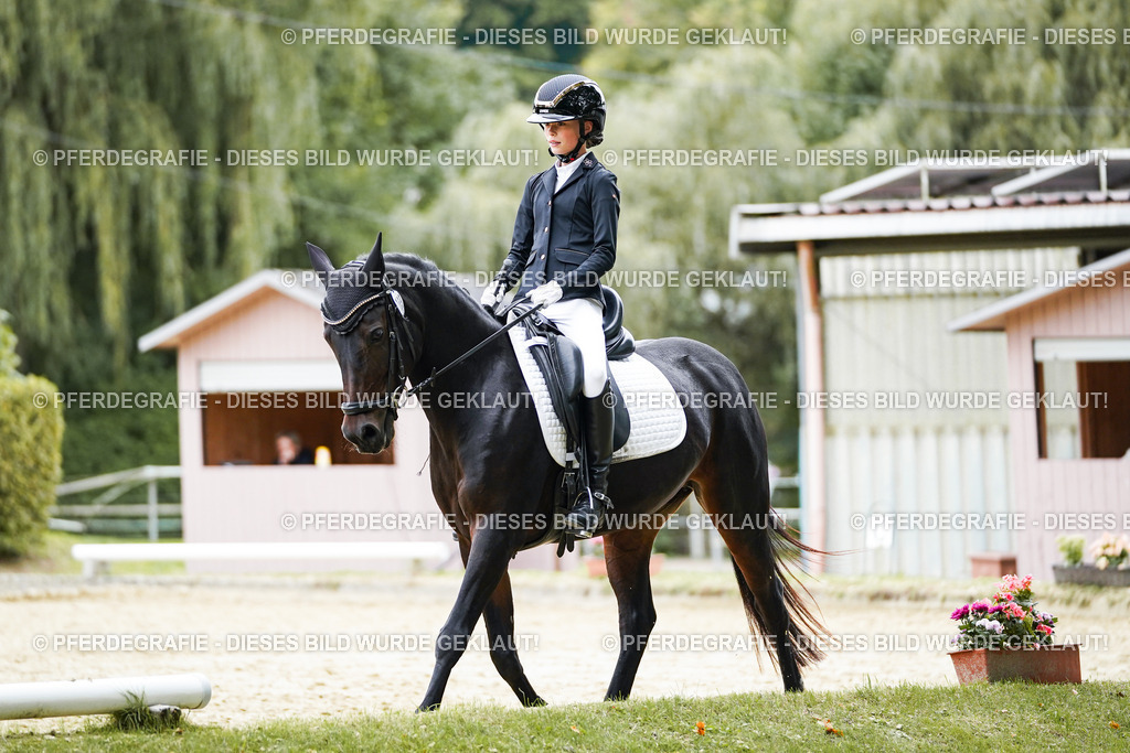 DSC09513 | Pferdegrafie