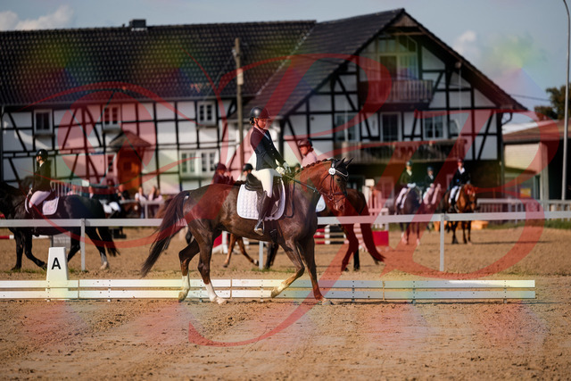 2026_10_03_Siefer-Hof_114741_Z63_26864942 | Professionelle Reitsport-, Turnier- und Eventfotografie von Robert Broda. Galerien mit ausgewählten und bearbeiteten Bildern direkt online ansehen und bestellen.