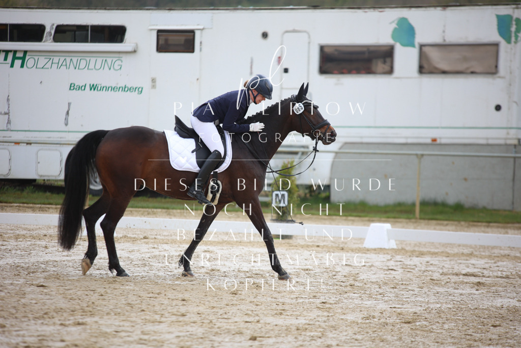 IMGT2786 | pl-fotografie