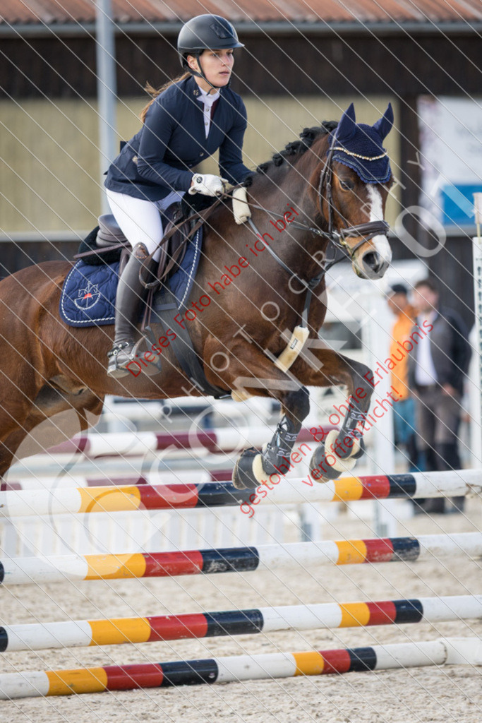 IMG_4506 | Sport-, Event- und Tierfotos in Profiqualität. Einfach auswählen, bestellen und herunterladen. Dein Moment – perfekt festgehalten.
