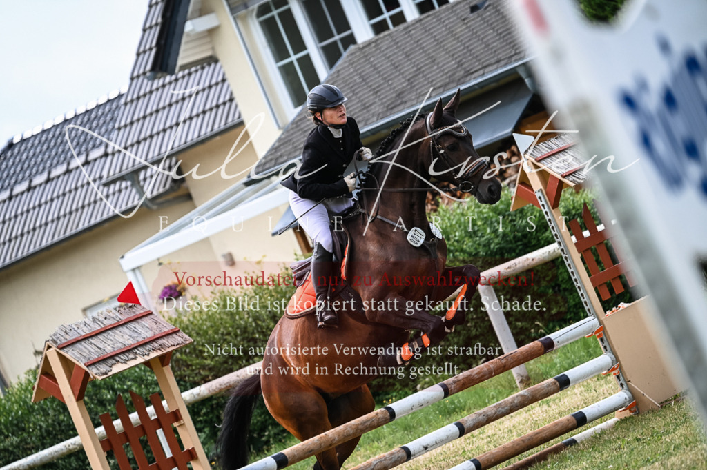 DSC_8299 | Pferde- und Turnierfotografie in Westsachsen. Pferdeportraits, Auftragszeichnungen und intuitive Kunst.