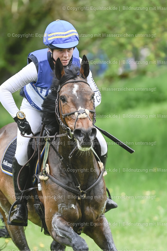 20230513_CCI4_Gelände_0034 | equistock
