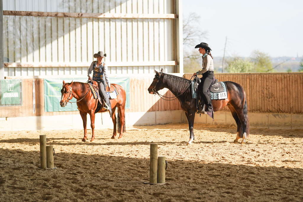 DSC09721 | Pferdegrafie