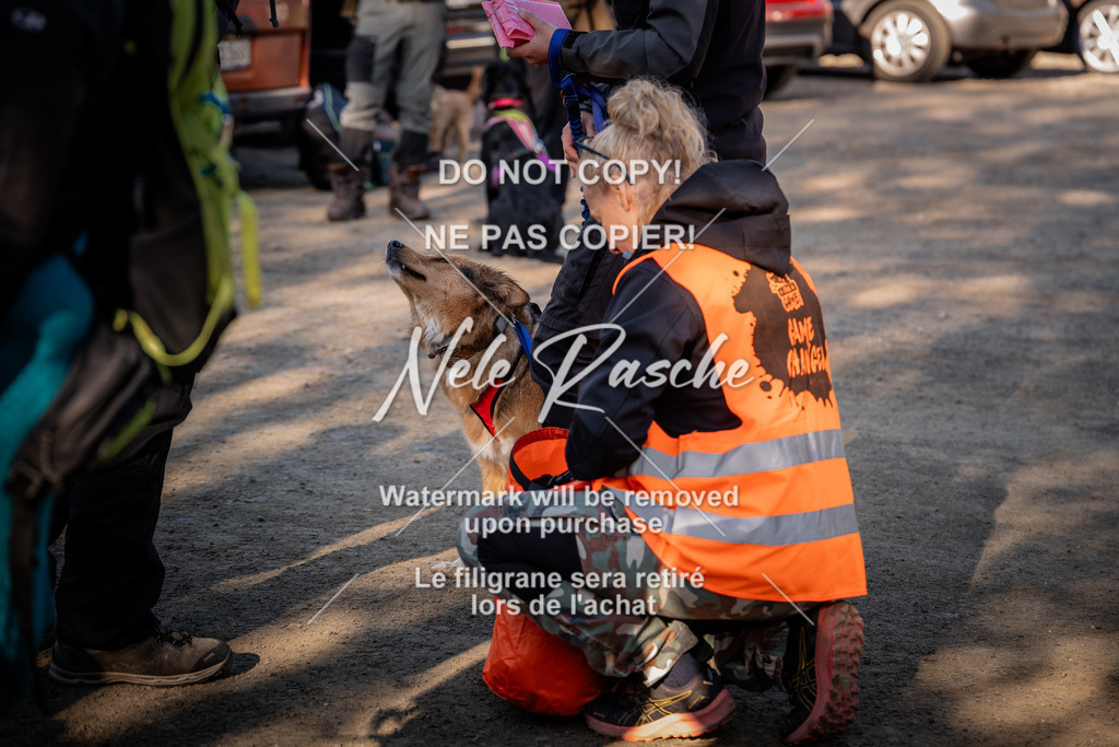 nelerasche_SaCheckIn_91 | nelerasche