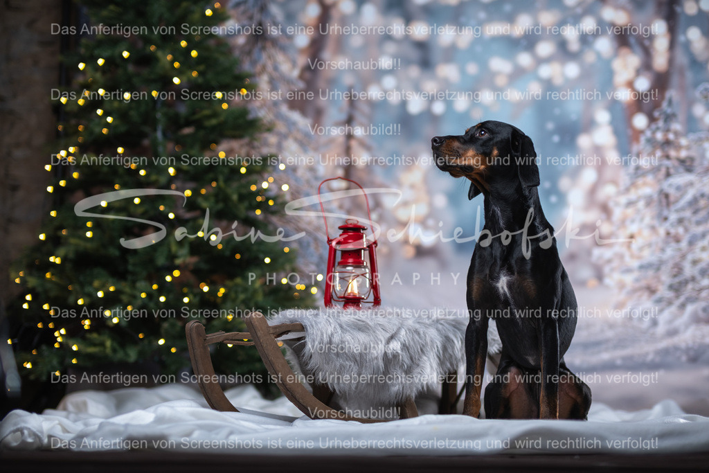 DSCF4334 | People- und Tierfotografie, Imageaufnahmen, Veranstaltungsfotografie und Wandbilder aus der Natur ★ Made in Germany ✔️ Druck + Downloads ✔️ Naturfotografie in Top Qualität ★ schneller Versand, weltweite Lieferung! - Realisiert mit Pictrs.com