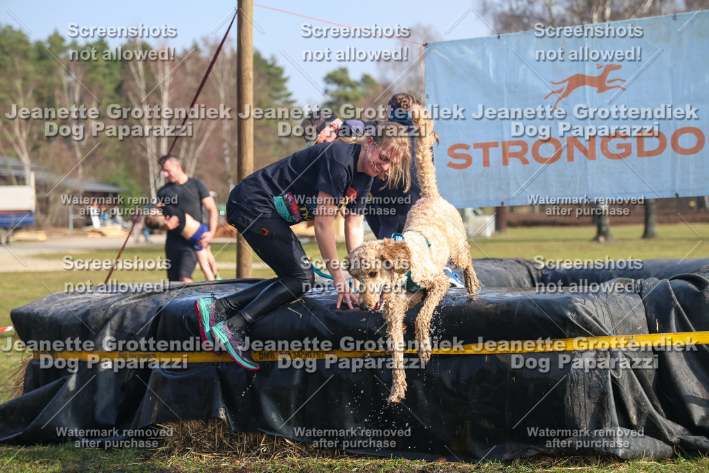 Dog Paparazzi - Strongdog North Mrz26-2119 | Dog Paparazzi Jeanette Grottendiek Fotografie & Videografie - Realisiert mit Pictrs.com