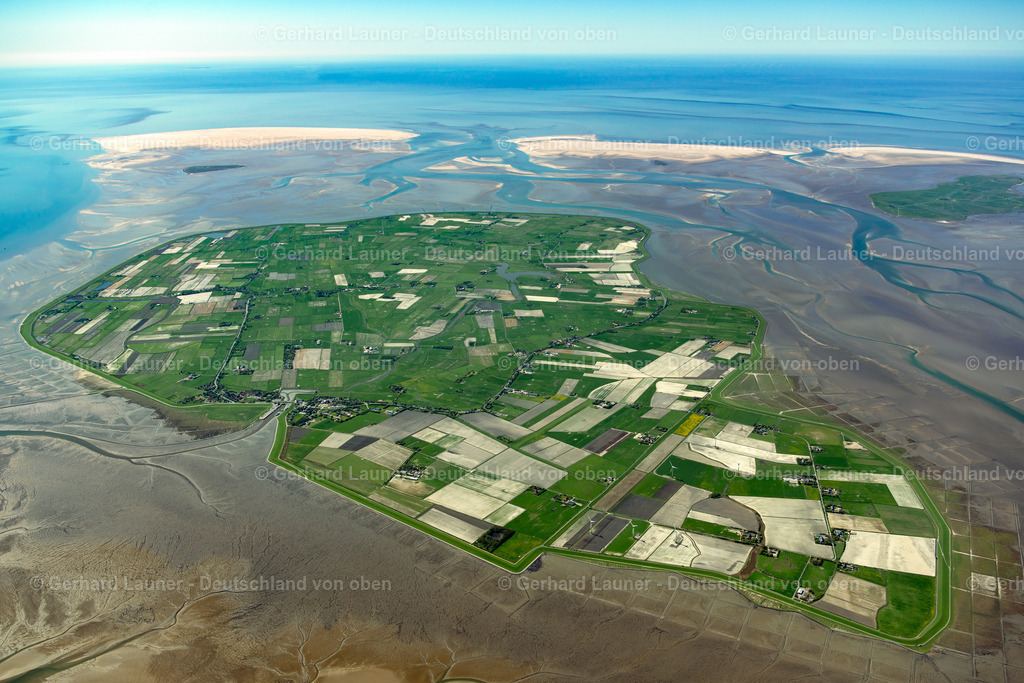 3801606 | Pellworm, Nationalpark Schleswig-Holsteinisches Wattenmeer