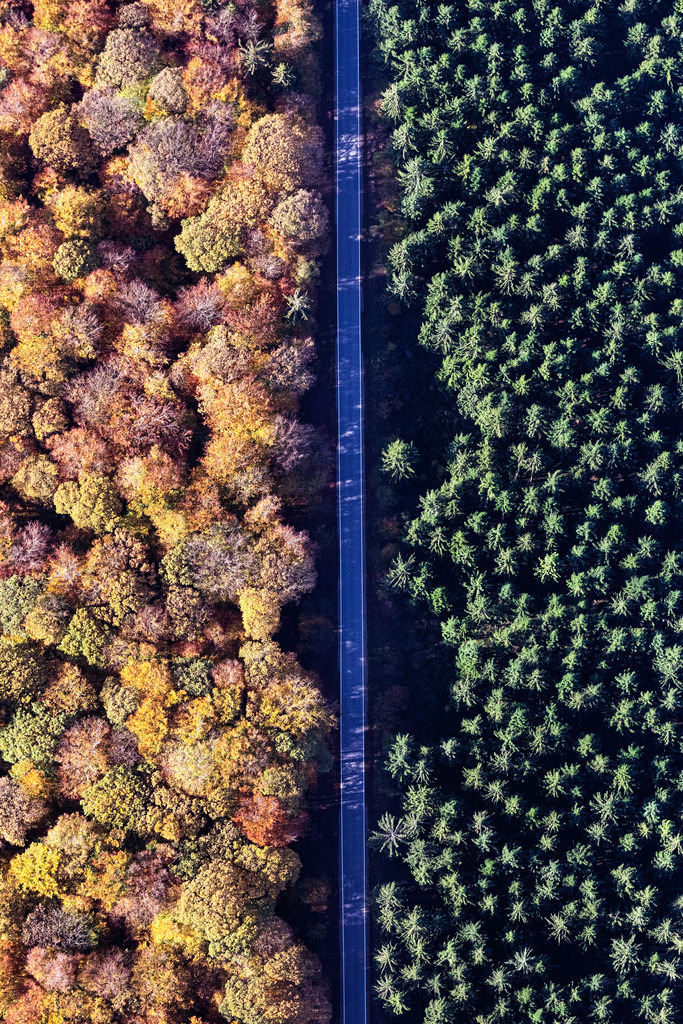 dr__0040662.jpg | BACHARACH 31.10.2019 Herbstliche verfärbte Vegetationsansicht Verlauf der Straßenführung in einem Waldgebiet in Bacharach im Bundesland Rheinland-Pfalz, Deutschland. // Autumnal discolored vegetation view street - road guidance in a forest area in Bacharach in the state Rhineland-Palatinate, Germany. Foto: Daniel Reiter