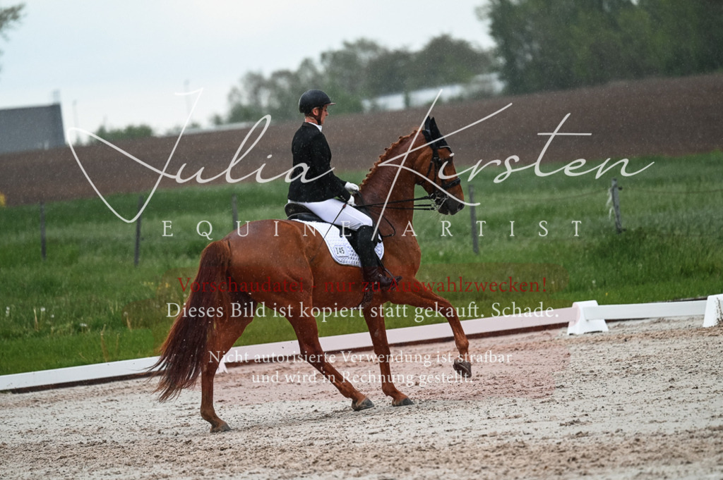 DSC_4437 | Pferde- und Turnierfotografie in Westsachsen. Pferdeportraits, Auftragszeichnungen und intuitive Kunst.