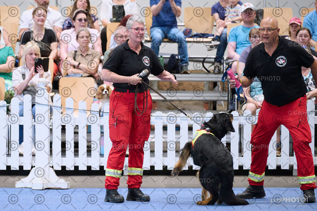 202406_ÖKV-IHA-Tulln24_DSC_3466 | proPHOTO - Realisiert mit Pictrs.com