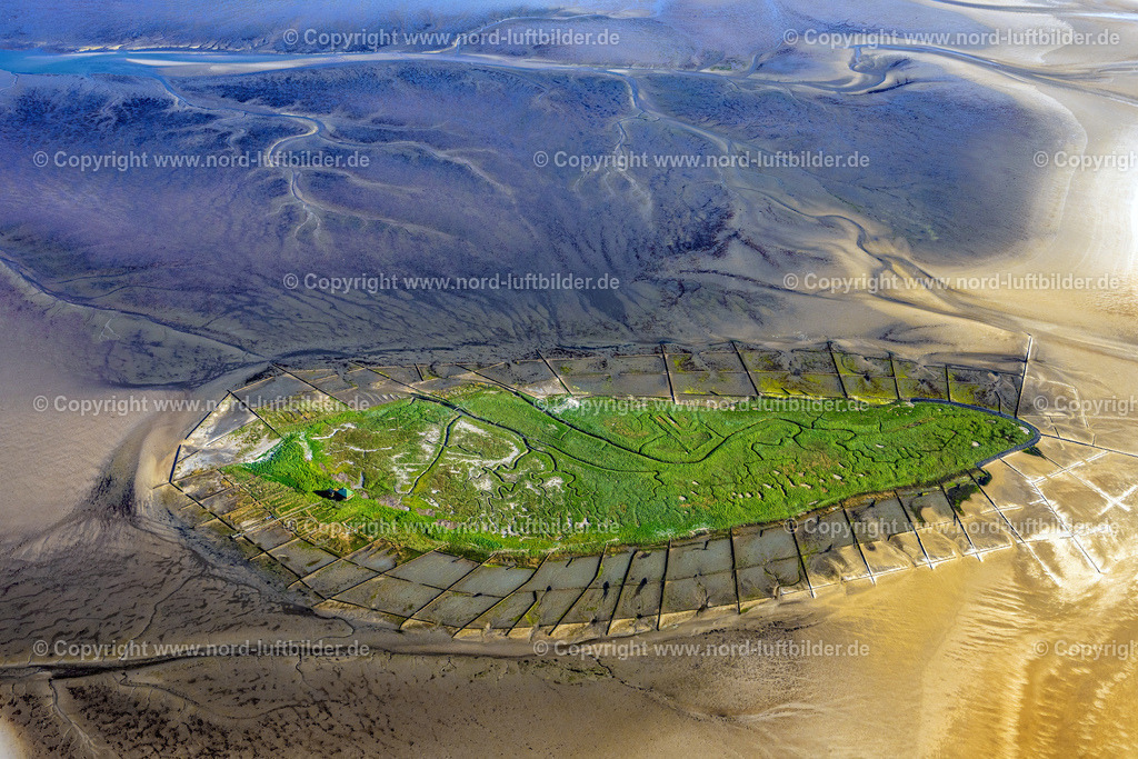 Norderoog_Hallig_ELS_1025300523 | NORDEROOG 30.05.2023 Küstenbereich und Naturschutzgebiet der Vogelfreistätte Hallig Norderoog im Bundesland Schleswig-Holstein, Deutschland. // Coastal area and nature reserve of the Hallig Norderoog bird sanctuary in the state Schleswig-Holstein, Germany. Foto: Martin Elsen