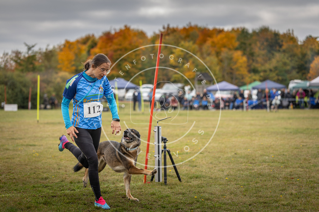Pfotenfotografie_DV3A6848 | Hundefotografie, Tierfotograf, Pfotenfotografie, Fotoshooting Hund, Hunde Portrait, Hundesport, Hundeportraits, Heideshooting, Hunde, Sportfotograf, Hundefotograf, Turnierhundsport, THS,  - Realisiert mit Pictrs.com