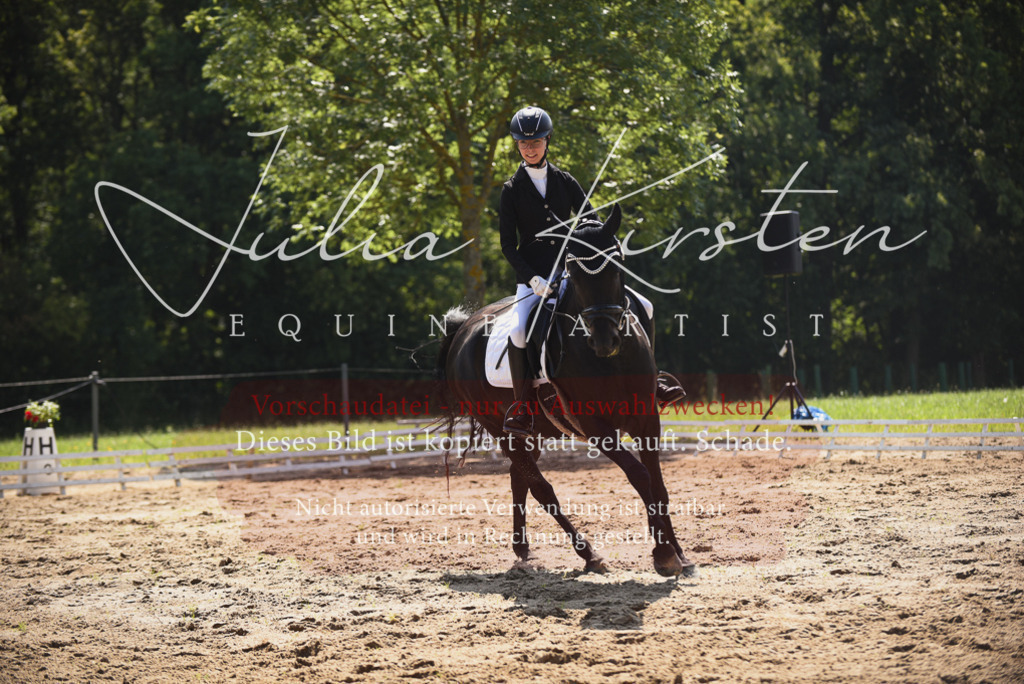 DSC_0650 | Pferde- und Turnierfotografie in Westsachsen. Pferdeportraits, Auftragszeichnungen und intuitive Kunst.