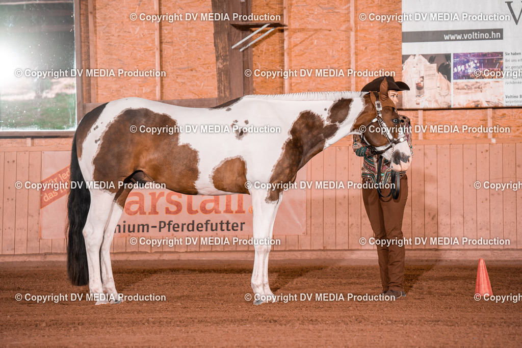 NE201515 | dv-media-shop - Realisiert mit Pictrs.com