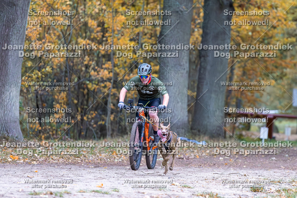 Dog Paparazzi - SD CaniX Championship 2025-31 | Dog Paparazzi Jeanette Grottendiek Fotografie & Videografie - Realisiert mit Pictrs.com