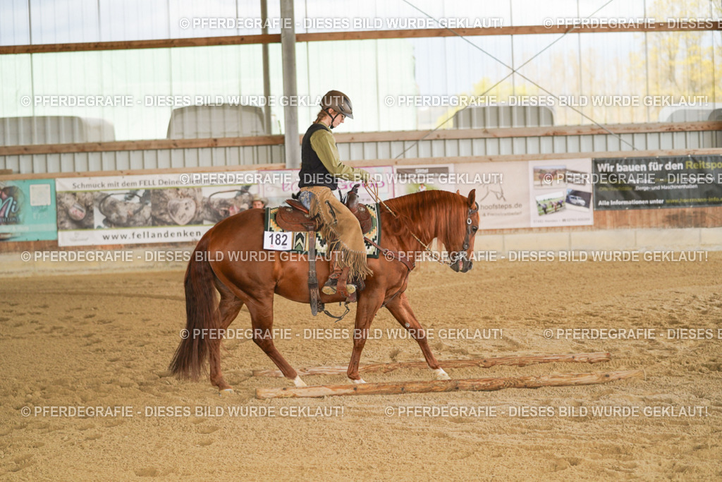 DSC06005 | Pferdegrafie