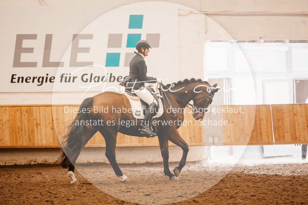 3I6A2458 | Stimmungsvolle Portraits und Reitsportfotografie im Ruhrgebiet und im Münsterland.

Pferdefotografie, Hundefotografie, Tierfotografie, Reportagen, Portraits von Tier und Mensch, Turnierfotografie in Bochum, Recklinghausen, Marl, Haltern am See, Dülmen.. - Realisiert mit Pictrs.com