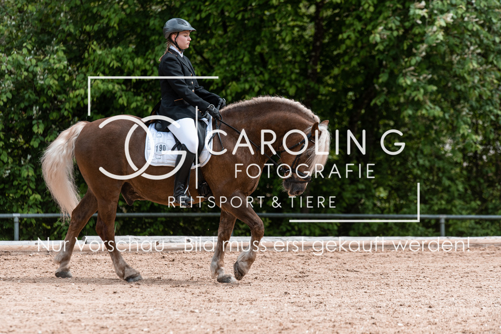 DSC_0962 | Turnierfotografin Carolin Gieschke, Turnierfotografie Carolin G Fotografie, Turnierfotos Kirchheim/Teck, Esslingen, Stuttgart, Bodenseekreis