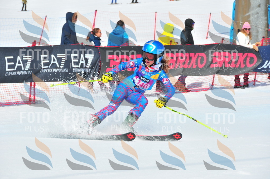 DSC_5040 | holidayphoto