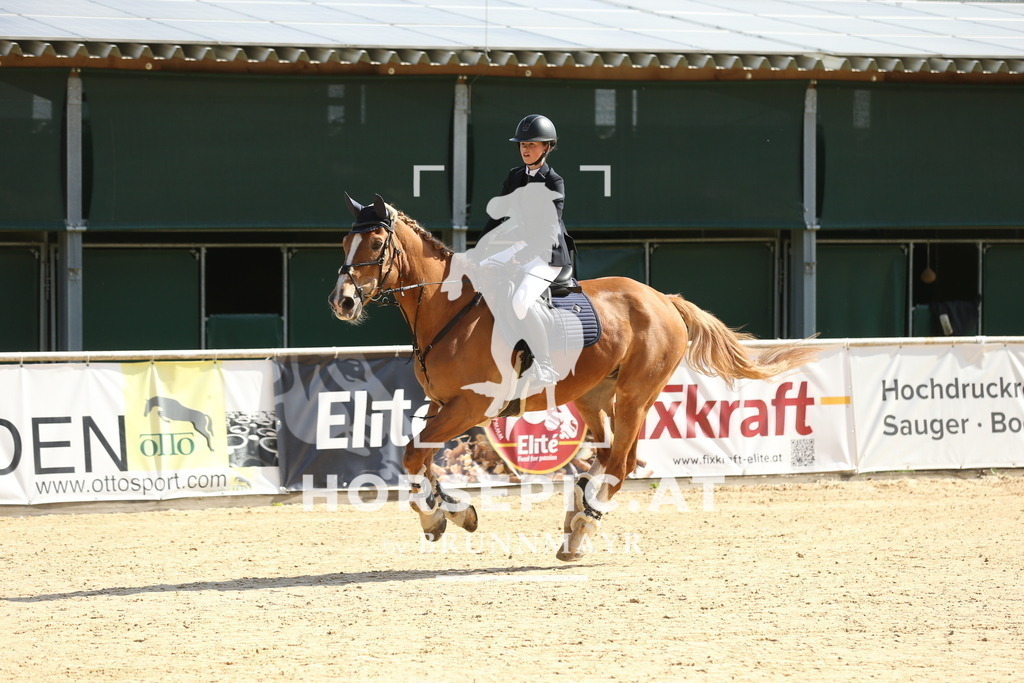 DL2Q4785 | Willkommen bei Brunnmayr - Design & Fotografie – Ihrem Spezialisten für Reitturniere und Pferdeveranstaltungen in Oberösterreich, Salzburg und Bayern! Seit über 17 Jahren sind wir leidenschaftlich dabei.