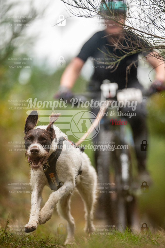 TSB_2023_E5_Bike-60 | PayLife