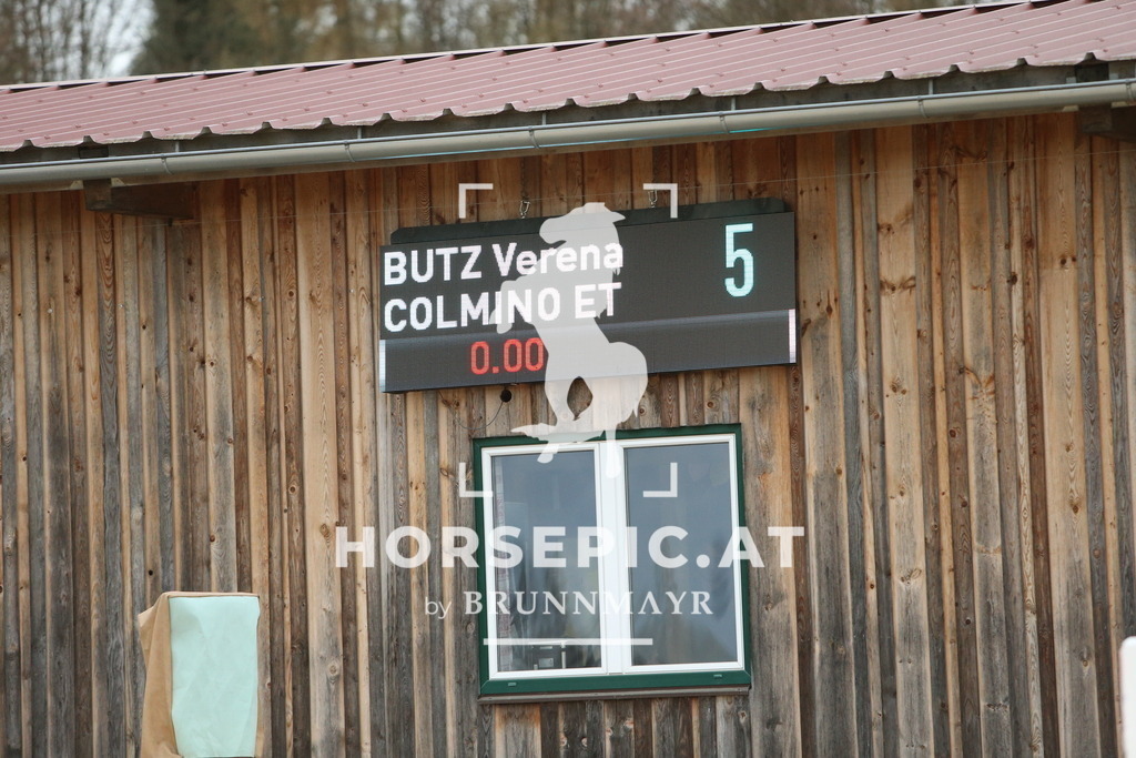 DL2Q2707 | Willkommen bei Brunnmayr - Design & Fotografie – Ihrem Spezialisten für Reitturniere und Pferdeveranstaltungen in Oberösterreich, Salzburg und Bayern! Seit über 17 Jahren sind wir leidenschaftlich dabei.