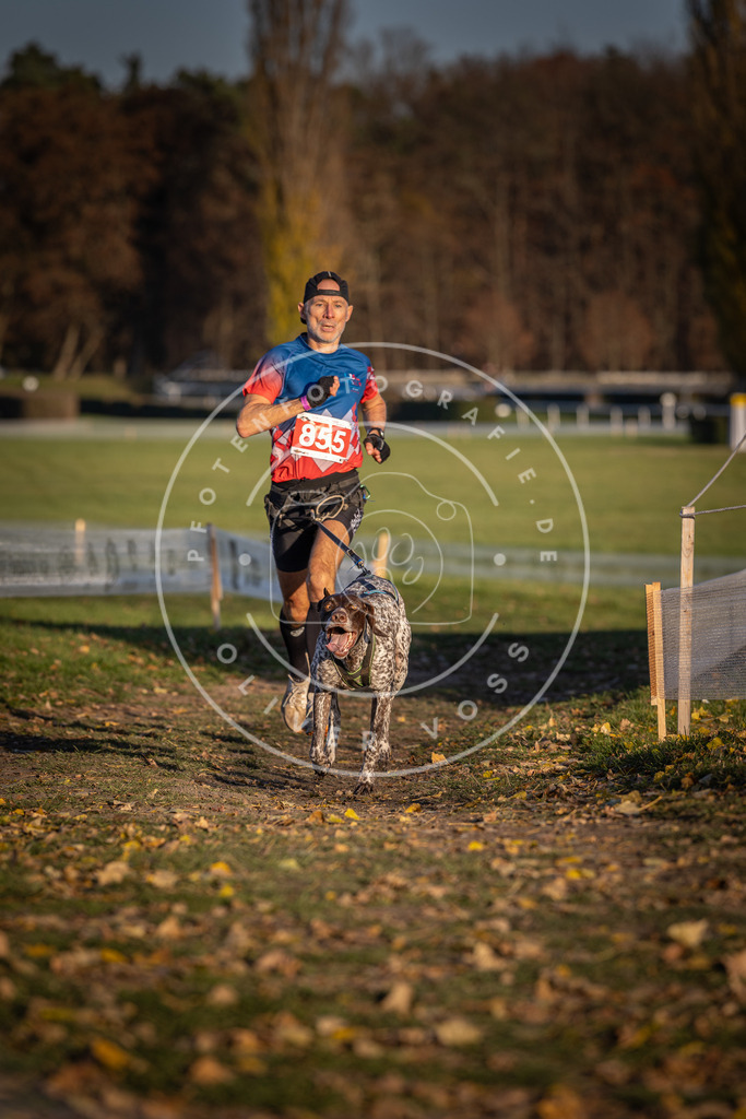 CaniXpix_DV3A3946 | Hundefotografie, Tierfotograf, Pfotenfotografie, Fotoshooting Hund, Hunde Portrait, Hundesport, Hundeportraits, Heideshooting, Hunde, Sportfotograf, Hundefotograf, Turnierhundsport, THS,  - Realisiert mit Pictrs.com