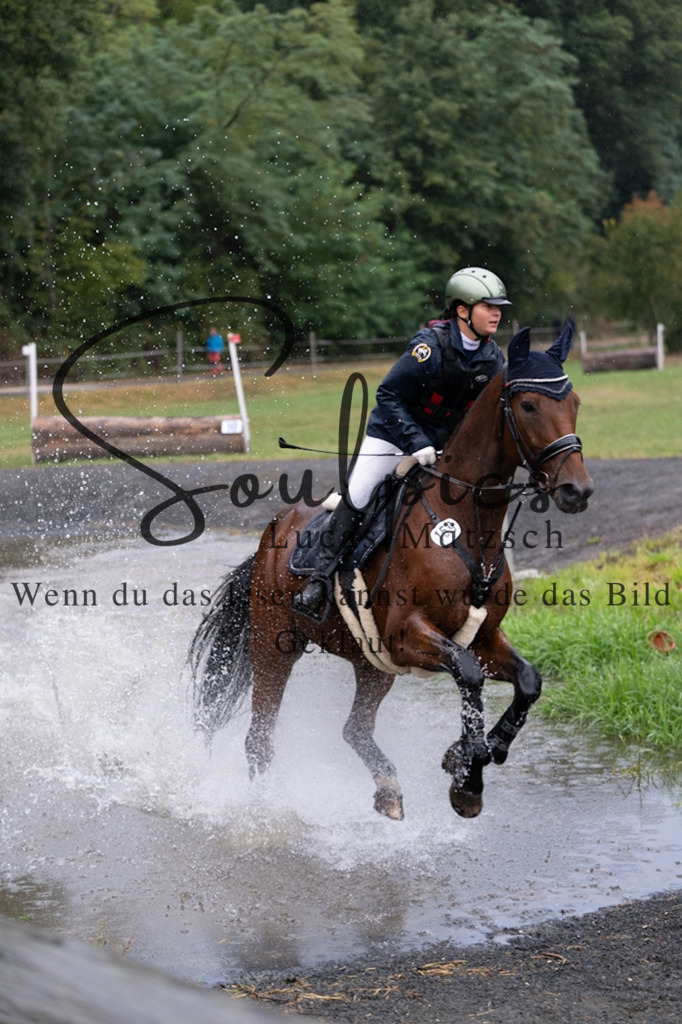 A7V09942 | Pferdefotograf