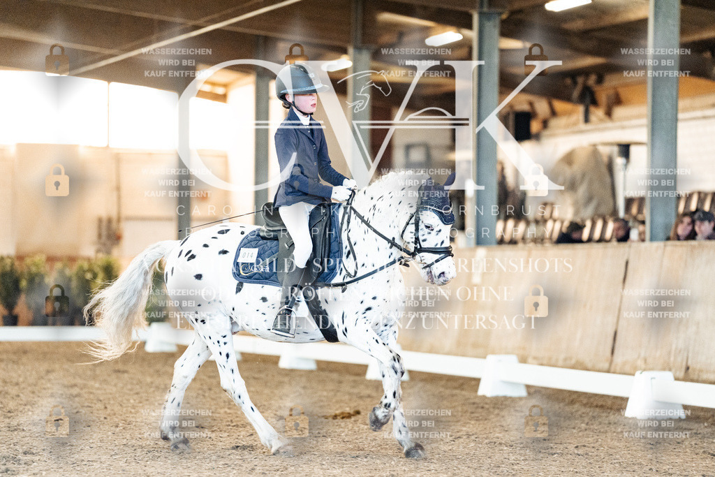 CK906870 | Turnierfotografie Pferdefotografie Trier Rheinland-Pfalz Pferdesport Reitsport Tierfotografie Sportfotografie Pferdevideo Pferdevideografie Equestrianvideography equestrianphotography  - Realisiert mit Pictrs.com