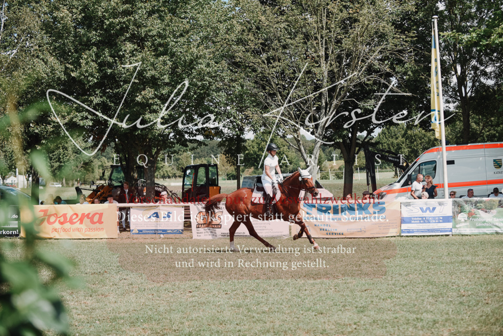 DSC_5752 | Pferde- und Turnierfotografie in Westsachsen. Pferdeportraits, Auftragszeichnungen und intuitive Kunst.