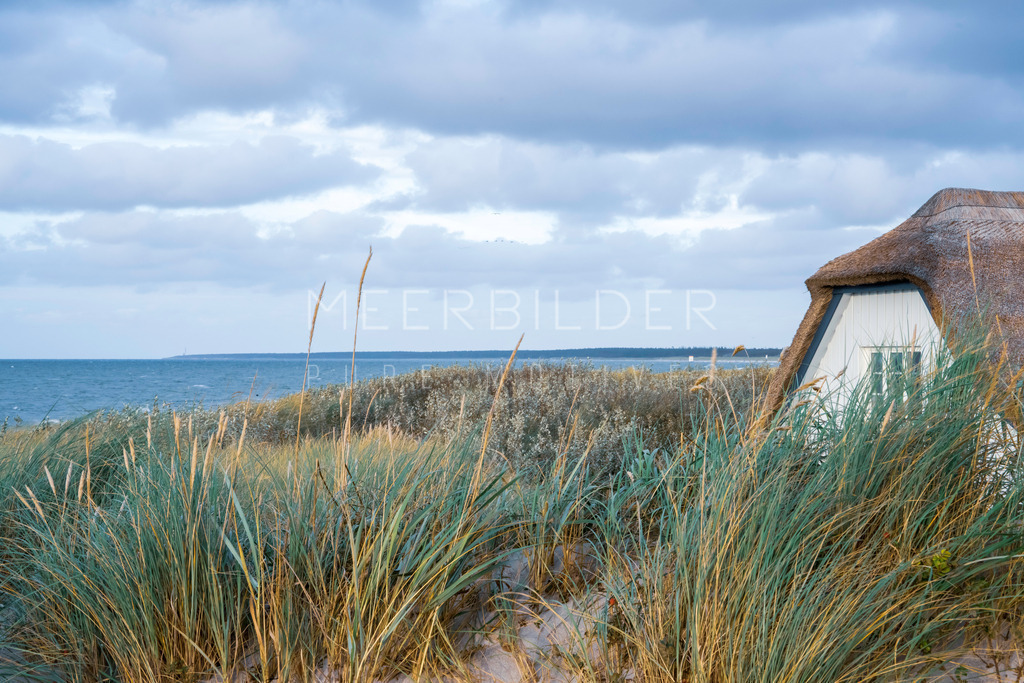 Ahrenshoop // Ostsee Bild mit Reetdachhaus | Erleben Sie pure Harmonie und Stil mit dem Reetdachhaus hinter den Dünen an der Ostsee. Das Haus ist stilvoll in die Landschaft eingebettet, leicht sichtbar durch das Dünengras, mit einem herrlichem Blick auf die Ostsee im Hintergrund. Die leichte Unschärfe des Dünengrases im Vordergrund verleiht dem Bild eine besondere Ästhetik, die vom Fotografen bewusst gewählt wurde. Dieses schöne Ostseebild eignet sich perfekt für alle unsere Druckformate. Tauchen Sie ein in die Schönheit der Natur und lassen Sie sich von diesem traumhaften Motiv inspirieren.