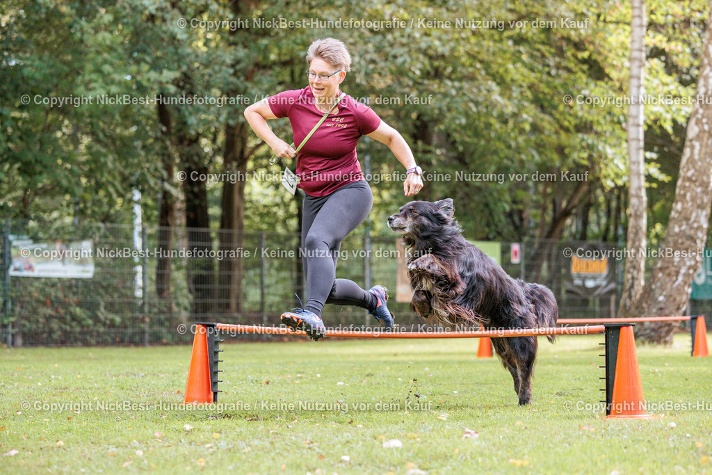 THS-HSV-Blumenthal-2026-Nickbest-Hundefotografie-3476 | Dein Hund! Dein Moment! Deine Erinnerungen! Hundefotografie in Bremen Blumenthal. Ich fange die besonderen Momente deines Vierbeiners ein – ob Indoor mit Blitzanlage oder in der freien Natur. Sicher dir dein Moment und dein Termin für eure Erinnerungen.