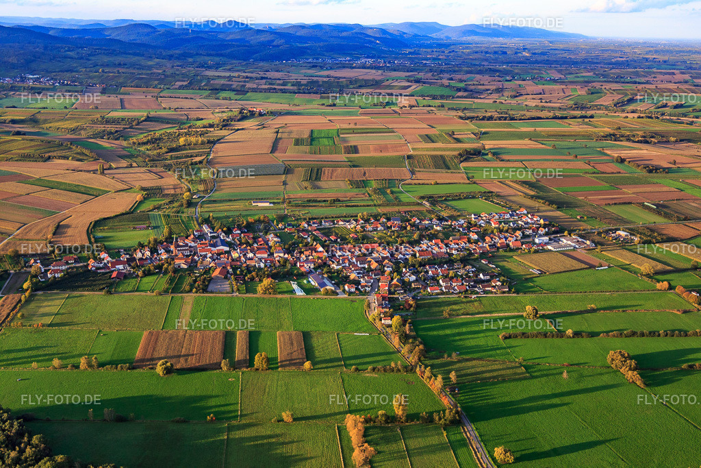 Dorfübersicht zwischen herbstlichen Feldern und Wiesen  von Süden | Luftbild: Dorfübersicht zwischen herbstlichen Feldern und Wiesen  von Süden in Schweighofen im Bundesland Rheinland-Pfalz in Deutschland. Foto: IMG_074695.jpg vom 14.10.2014 durch Werner Riehm/FLY-FOTO.de - Realisiert mit Pictrs.com