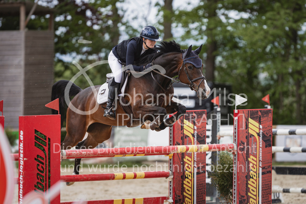 250504_SpengeW_M2-Spr-476 | Deine schönsten Turniermomente als professionelle Fotos! Entdecke hochwertige Pferdesport-Fotografie im Online-Shop. Jetzt Fotos finden & bestellen!