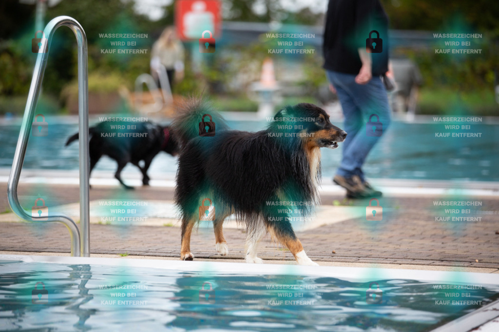 _HP_6039_1000o | HetPix, HetPix Fotodesign, Fotografie, Fotodesign, Webshop, Sportfotografie, Portraitfotografie, Onlineshop, Sportfotografie, Polch, Motorsportfotografie, Eventfotografie