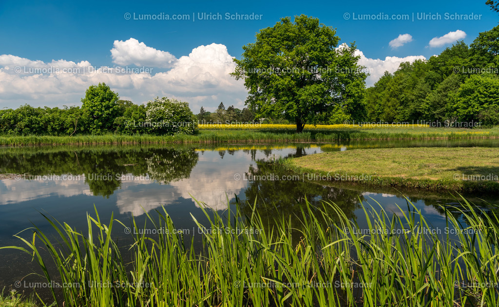 10049-5627 - Wörlitzer Park _ Sachsen Anhalt | Stockfoto und Bilderpool mit Bildmaterial aus Deutschland, dem Harz, Halberstadt, Quedlinburg, Wernigerode und weltweit. Qualitativ hochwertige und professionelle Fotos anschauen und kaufen. - Realisiert mit Pictrs.com