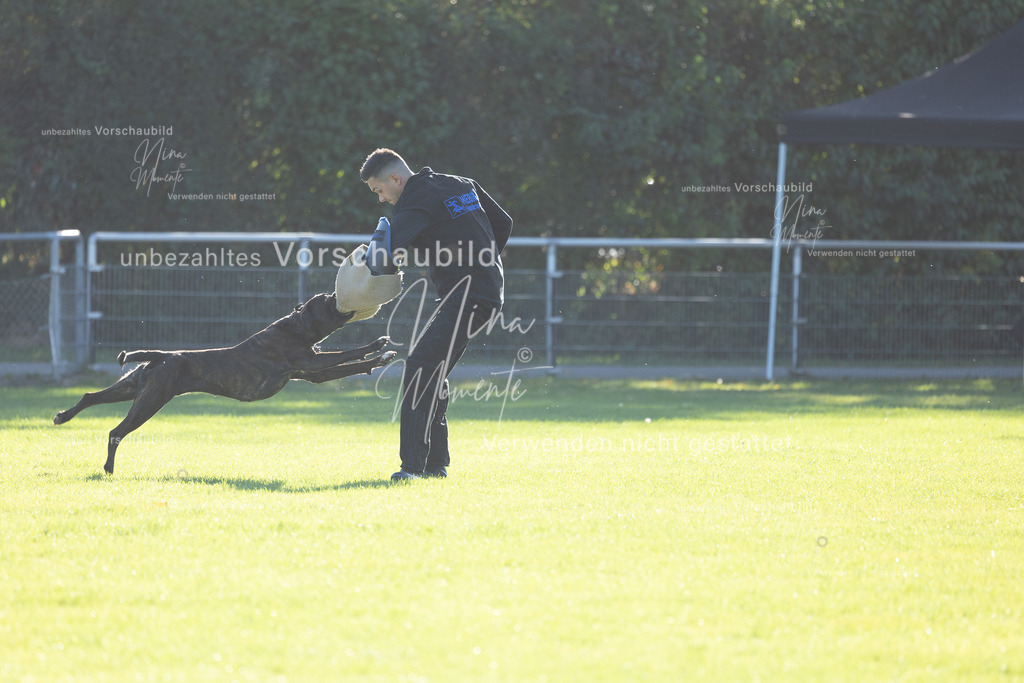 _16A4895 | Einzigartige Fotos von Hunden & Menschen –Actionfotos, Portraits, Vereinsaufnahmen & Paarshootings – authentisch, lebendig & mit Herz.