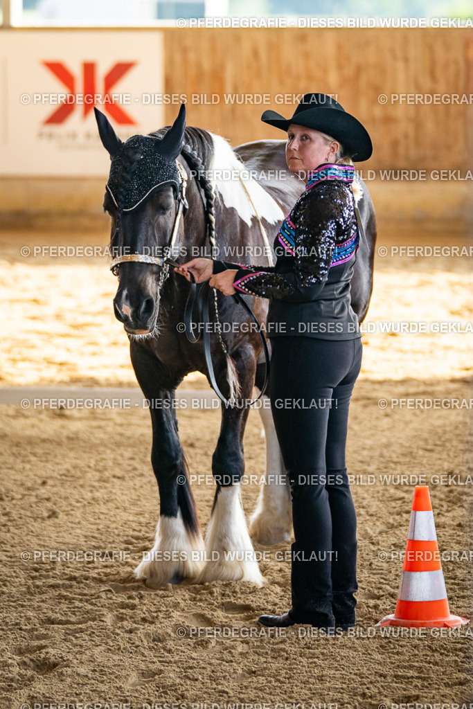 DSC07498 | Pferdegrafie