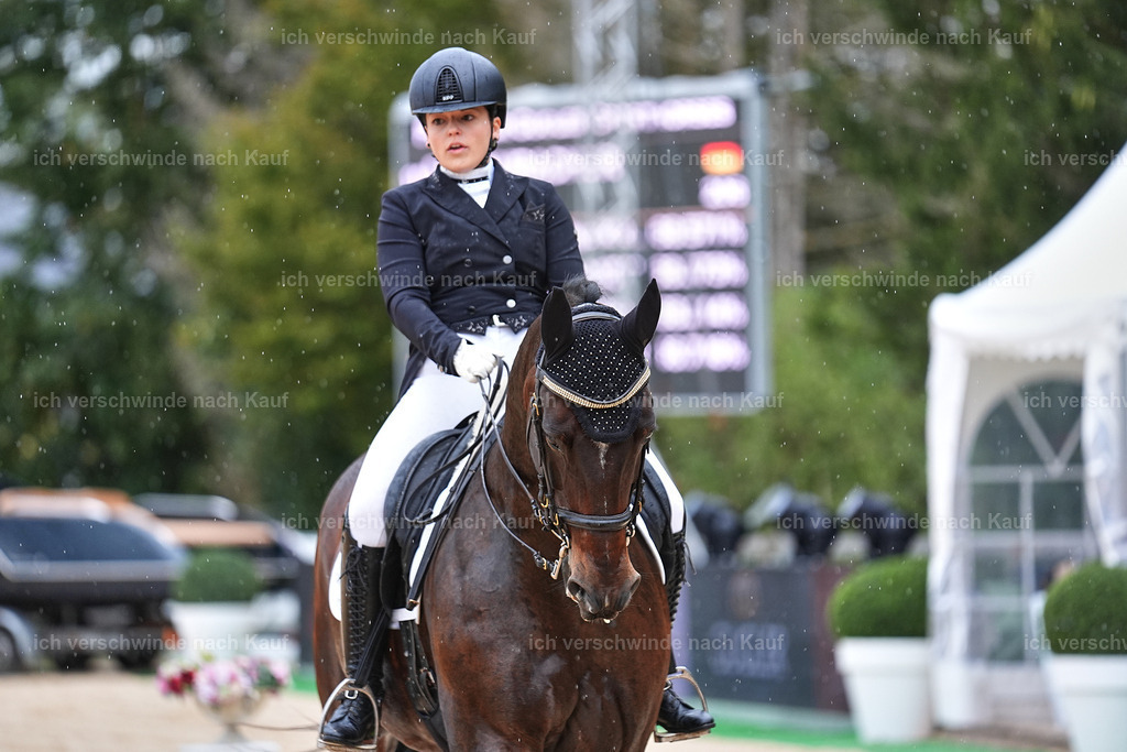 8_1-206-Klasse S_  -Marixx-4243 | working equitationturnier fotograf videograf stoibphotography marixx film working equitation deutschland reitsport turnierfotografie eventfotografie equestrian events