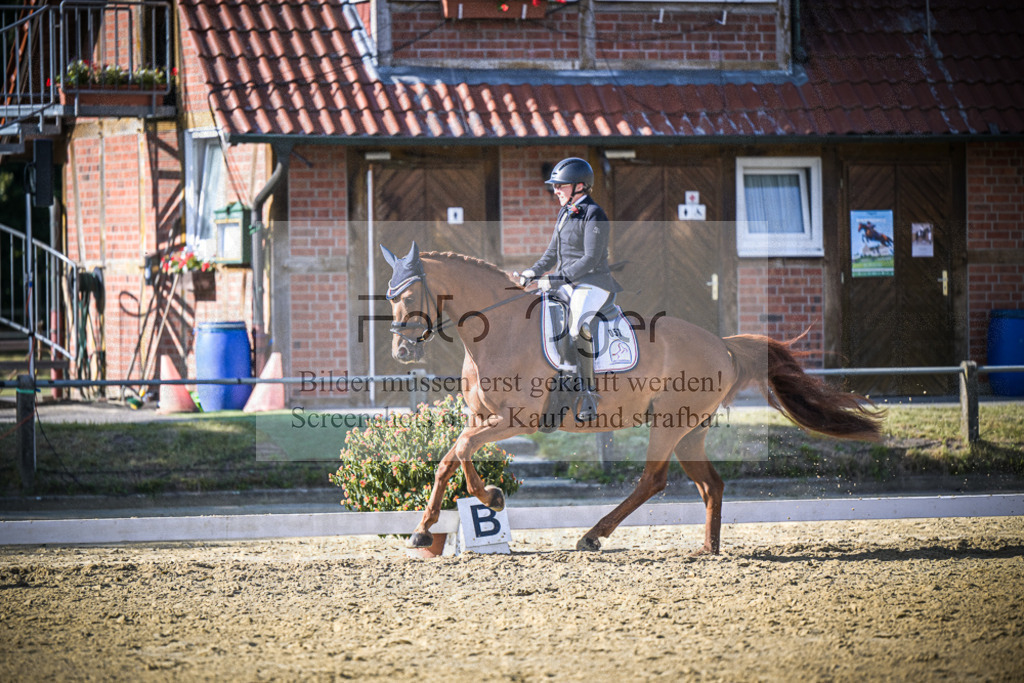 DOS_1097 | Entdecke hochwertige Reitturnierfotos von Foto Oger. Professionell, emotional und authentisch – jetzt Lieblingsmomente im Shop bestellen.Deutschlandweite Turnierfotografie. - Realisiert mit Pictrs.com