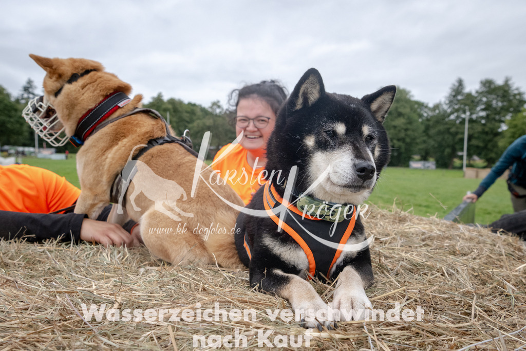 1229_ZZ90835 | kk-dogfotos
