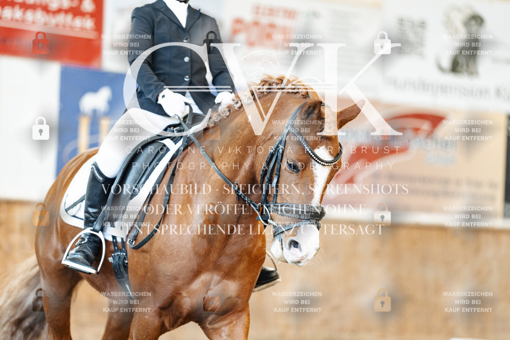 CK908225 | Turnierfotografie Pferdefotografie Trier Rheinland-Pfalz Pferdesport Reitsport Tierfotografie Sportfotografie Pferdevideo Pferdevideografie Equestrianvideography equestrianphotography  - Realisiert mit Pictrs.com