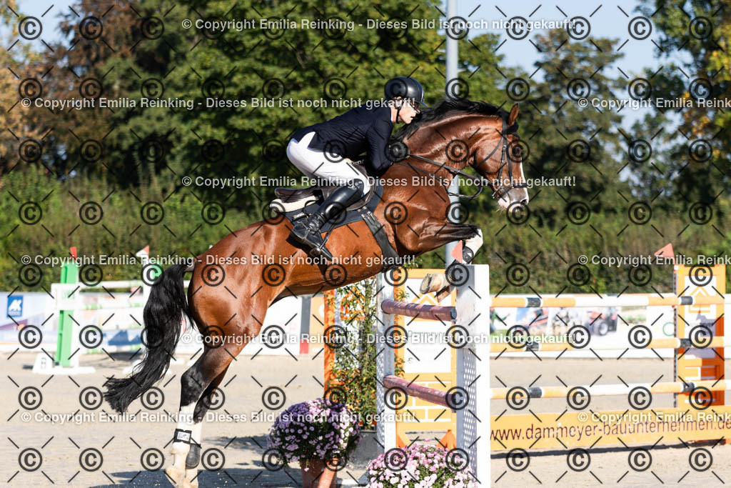 CL5A6931 | Emilia Reinking Fotografie - Realisiert mit Pictrs.com