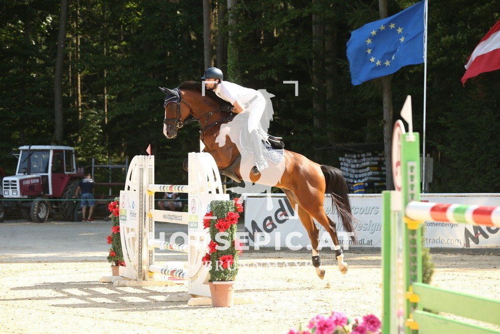 DL2Q6852 | Willkommen bei Brunnmayr - Design & Fotografie – Ihrem Spezialisten für Reitturniere und Pferdeveranstaltungen in Oberösterreich, Salzburg und Bayern! Seit über 17 Jahren sind wir leidenschaftlich dabei.