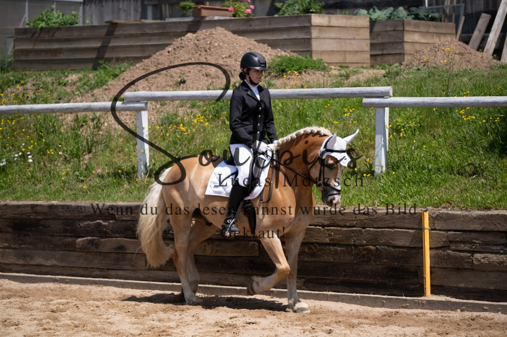 A7V08135 | Pferdefotograf