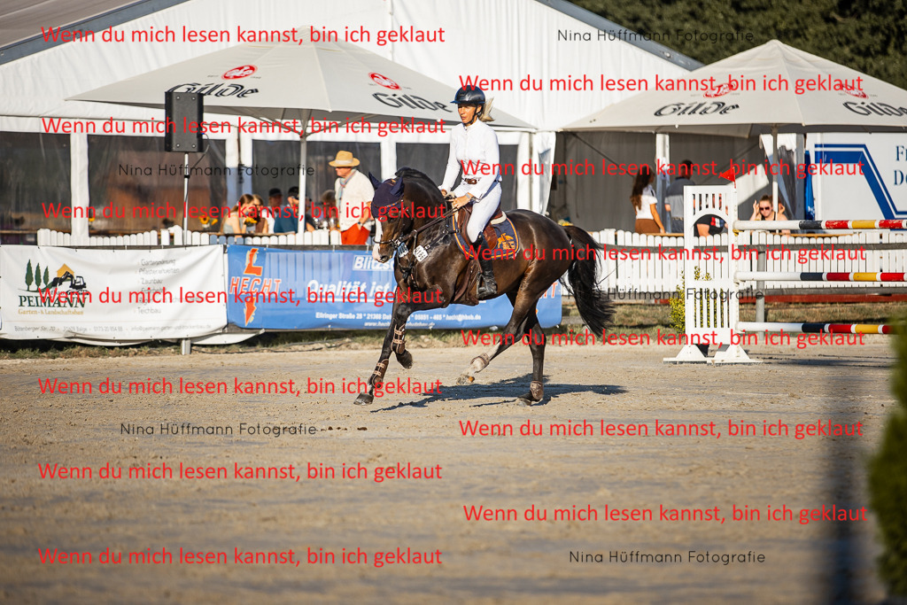 BK1A8841 | Turnierbilder Turnierfotos Nina Hüffmann Turnierfotografie Pferdefotografie Tierzeichnung Haustierzeichnung Pferdezeichnung Hundezeichnung Videograf  - Realisiert mit Pictrs.com