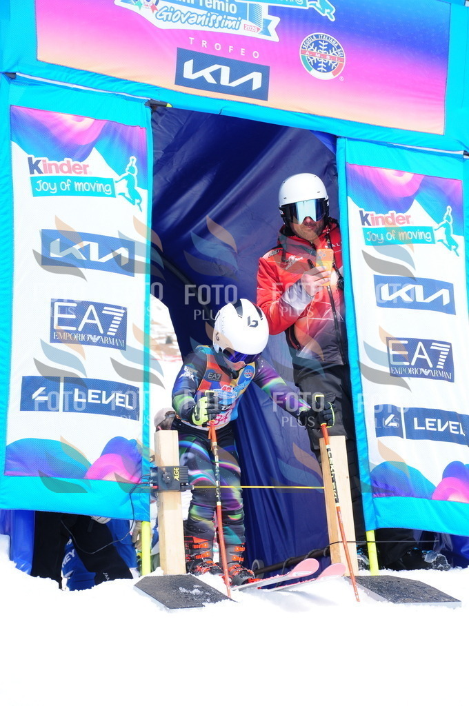 DSC_6520 | holidayphoto