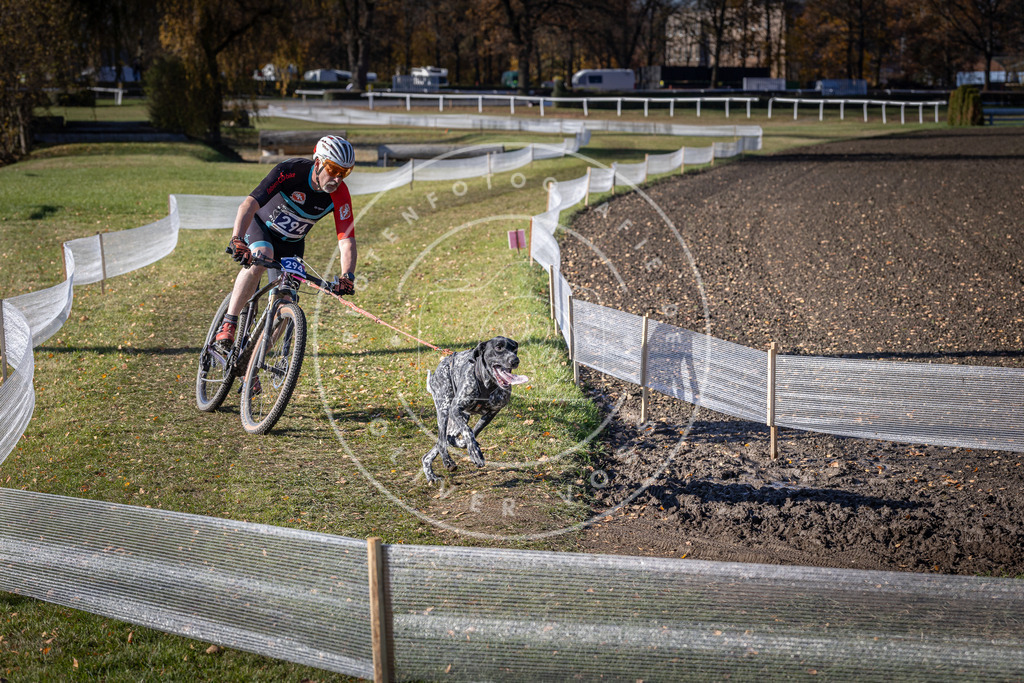 CaniXpix_DV3A5913 | Hundefotografie, Tierfotograf, Pfotenfotografie, Fotoshooting Hund, Hunde Portrait, Hundesport, Hundeportraits, Heideshooting, Hunde, Sportfotograf, Hundefotograf, Turnierhundsport, THS,  - Realisiert mit Pictrs.com