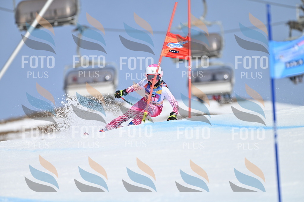 BGV_9815 | holidayphoto